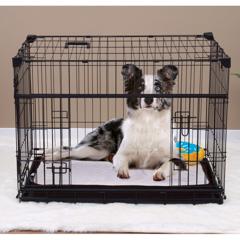 Tucker Murphy Pet™ Seaforth Sliding Double Door Pet Crate & Reviews Wayfair